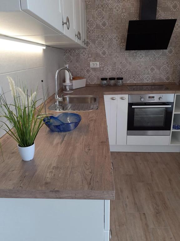 Apartmani Goga 2 Molat Buitenkant foto
